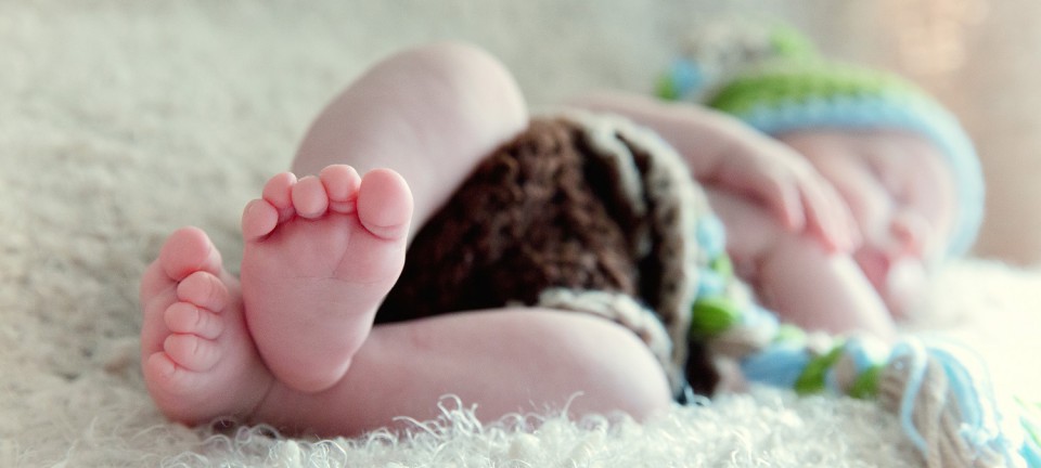 babyfotograf rostock